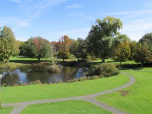 brandywine apartments amherst ma