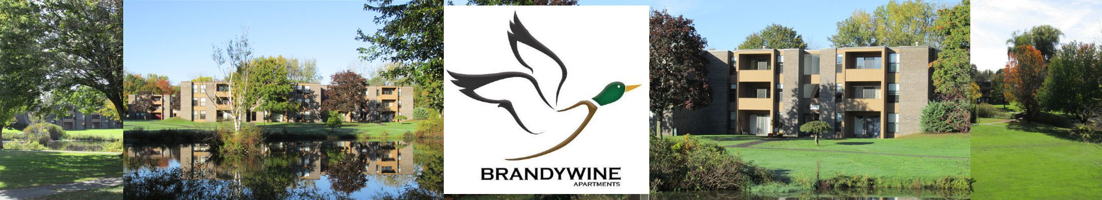brandywine apartments amherst ma