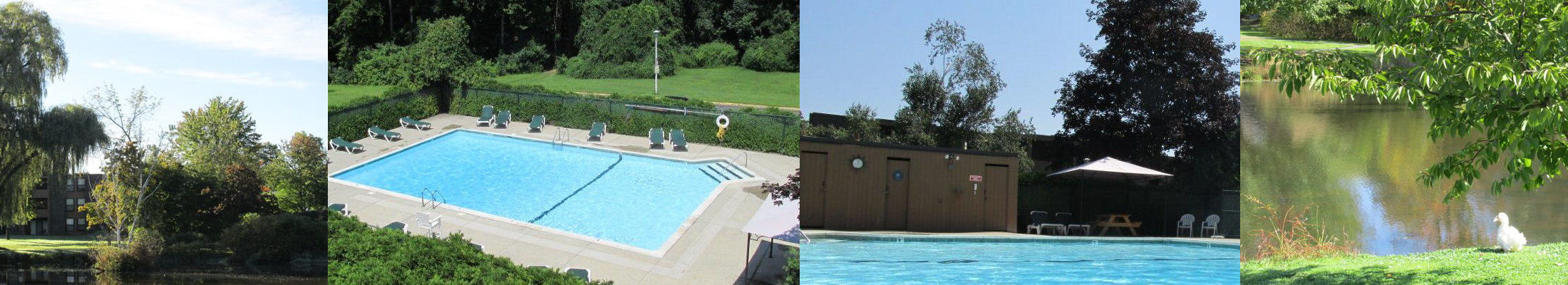 brandywine apartments amherst ma